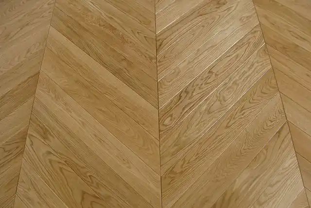 مشروع 6